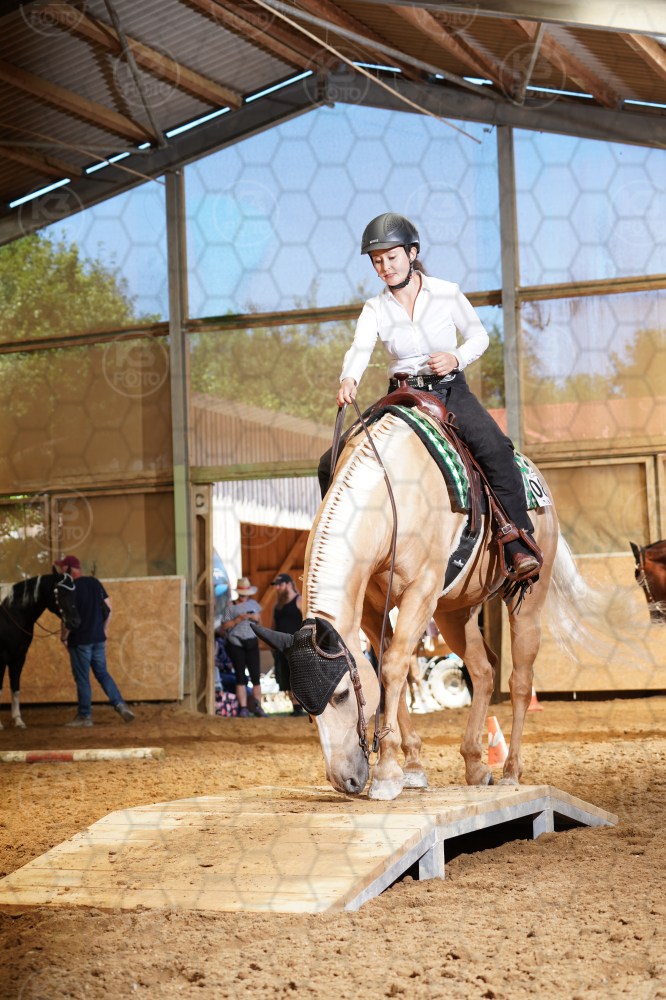 s_A9_00910.jpg
